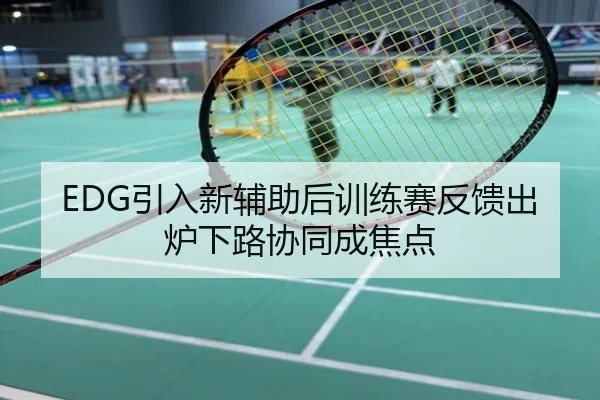 EDG引入新辅助后训练赛反馈出炉下路协同成焦点